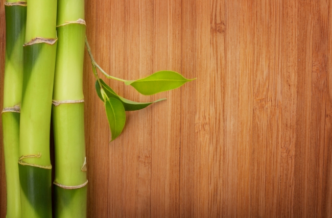 Saiba tudo sobre o Piso Bambu