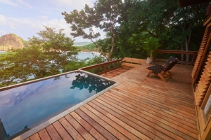 Deck de Madeira Decoração